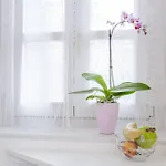 Ideal Location Center- 6p * Кольмар
