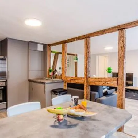 Apartmán Ideal Location Colmar Center- 6P