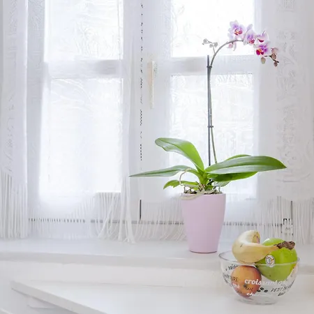 Le Rapp - Historic Center - Bright - 60m 2 * 科尔马