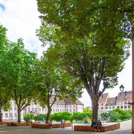 Ideal Location Colmar Center- 6P 公寓 科尔马