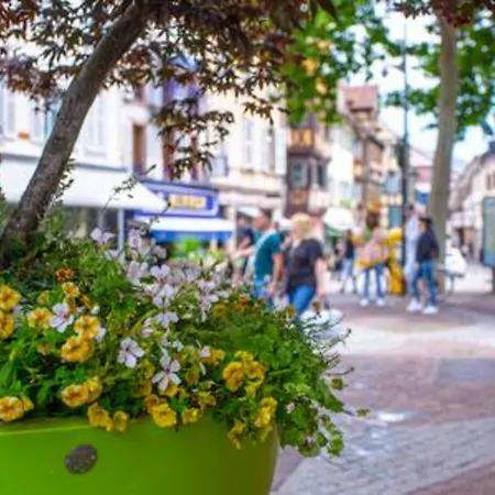 Le Rapp - Historic Center - Bright - 60m 2 公寓 *