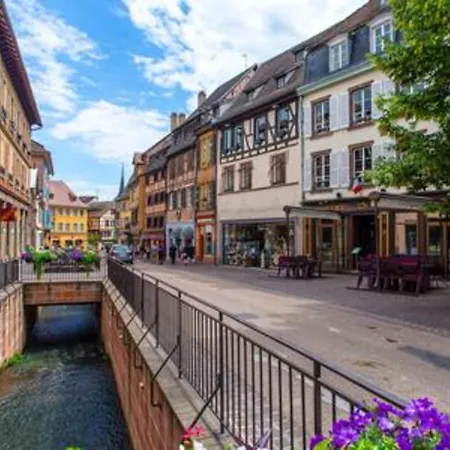 Le Rapp - Historic Center - Bright - 60m 2 公寓 *