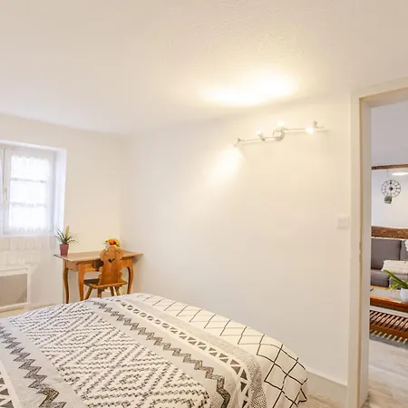 Le Rapp - Historic Center - Bright - 60m 2 公寓 科尔马