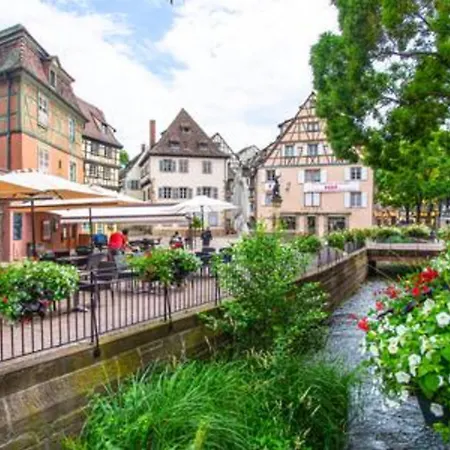 Le Rapp - Historic Center - Bright - 60m 2 公寓 科尔马