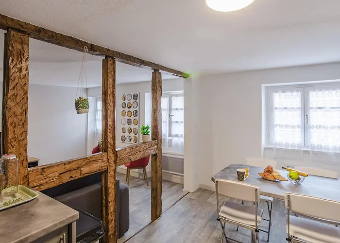 Ideal Location Colmar Center- 6P *