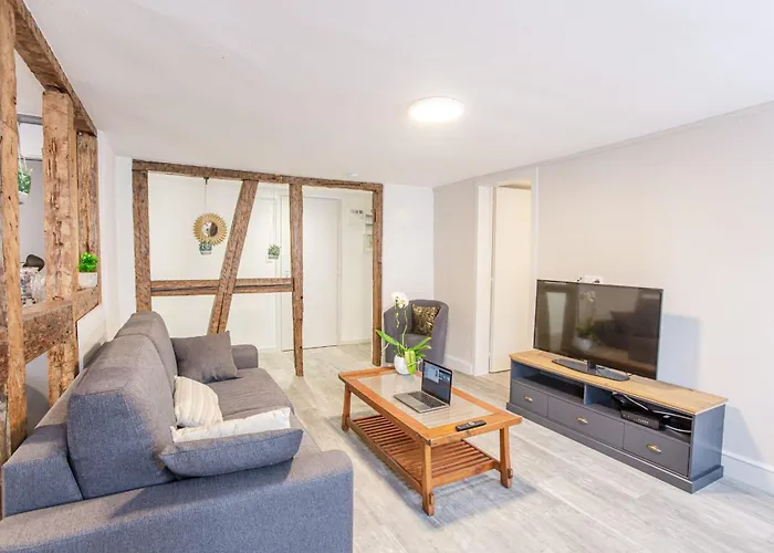 Ideal Location Colmar Center- 6P 科尔马