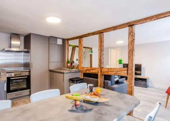 Apartmán Ideal Location Colmar Center- 6P