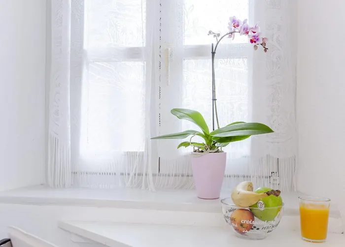 Ideal Location Colmar Center- 6P * Colmar