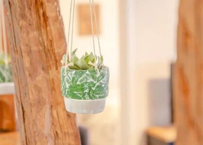 Ideal Location Colmar Center- 6P 科尔马