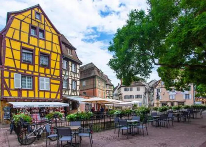 公寓 Ideal Location Colmar Center- 6P *