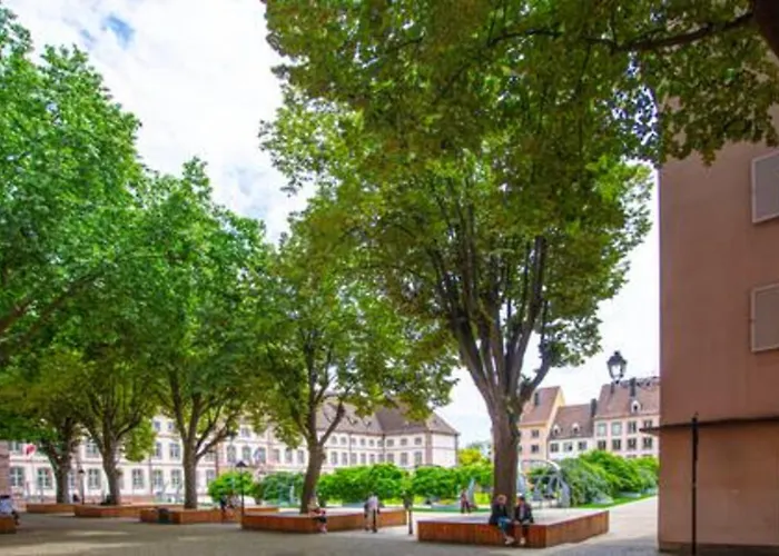 Ideal Location Colmar Center- 6P 公寓 科尔马