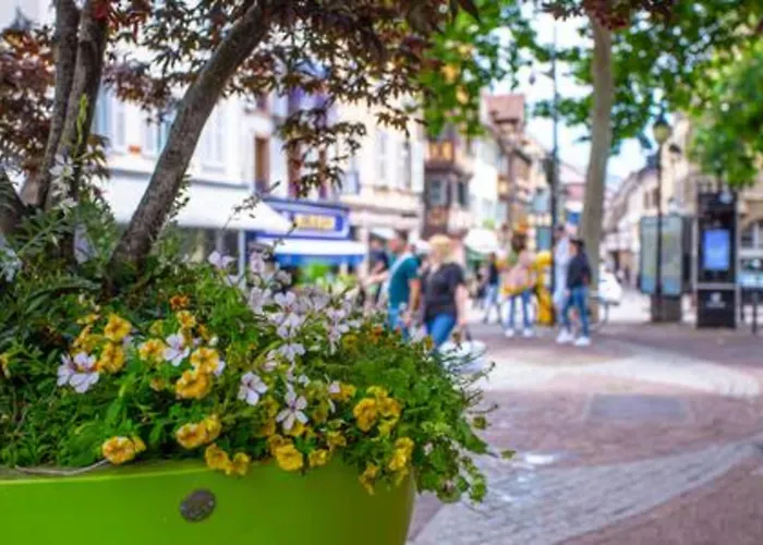 Ideal Location Colmar Center- 6P 公寓 *