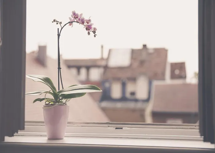 Ideal Location Colmar Center- 6P 科尔马