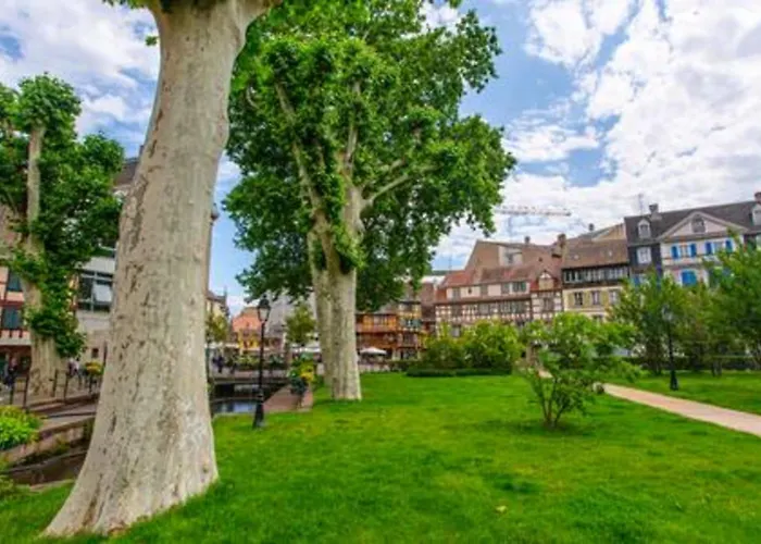 Ideal Location Colmar Center- 6P 公寓 科尔马