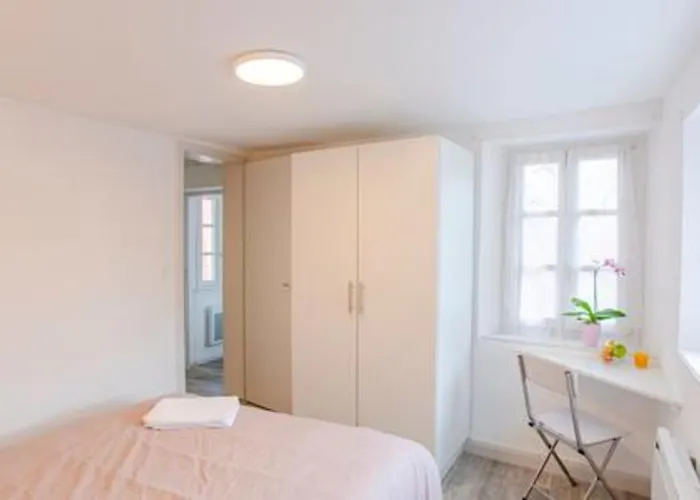 Ideal Location Colmar Center- 6P