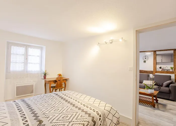 Ideal Location Colmar Center- 6P Apartmán Colmar