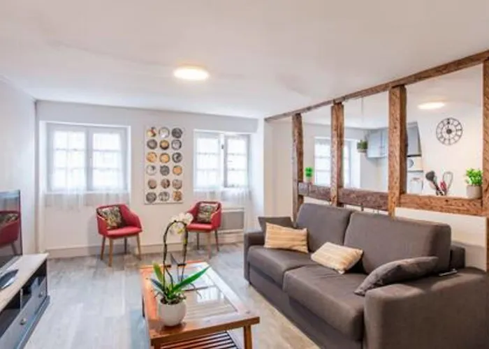 Apartmán Ideal Location Colmar Center- 6P Colmar