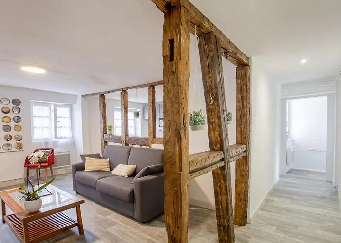 Ideal Location Colmar Center- 6P * 科尔马